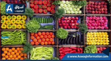 تراجع الأسعار.. كوسة وخضراوات تشهد انخفاضًا في سوق العبور اليوم